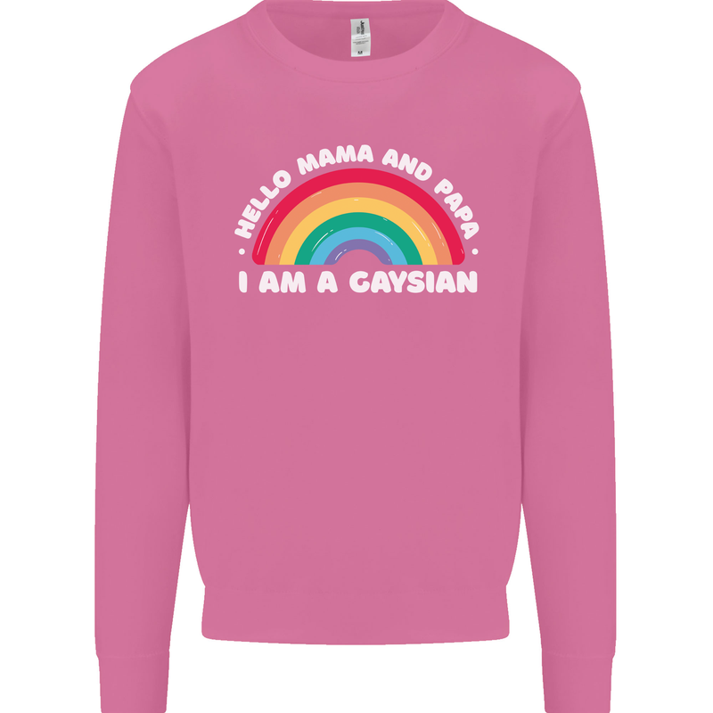 Hello Mama & Papa Im a Gaysian LGBT Mens Sweatshirt Jumper Azalea