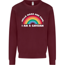 Hello Mama & Papa Im a Gaysian LGBT Mens Sweatshirt Jumper Maroon