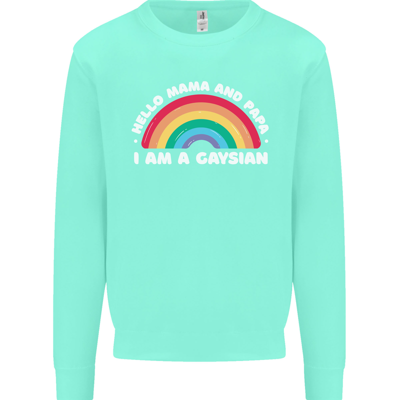 Hello Mama & Papa Im a Gaysian LGBT Mens Sweatshirt Jumper Peppermint