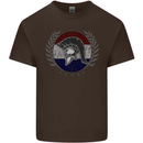 Holland Bodybuilding Flag Gym Training Dutch Mens Cotton T-Shirt Tee Top Dark Chocolate