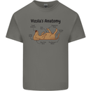 Hungarian Magyar Vizsla Anatomy Funny Dog Mens Cotton T-Shirt Tee Top Charcoal
