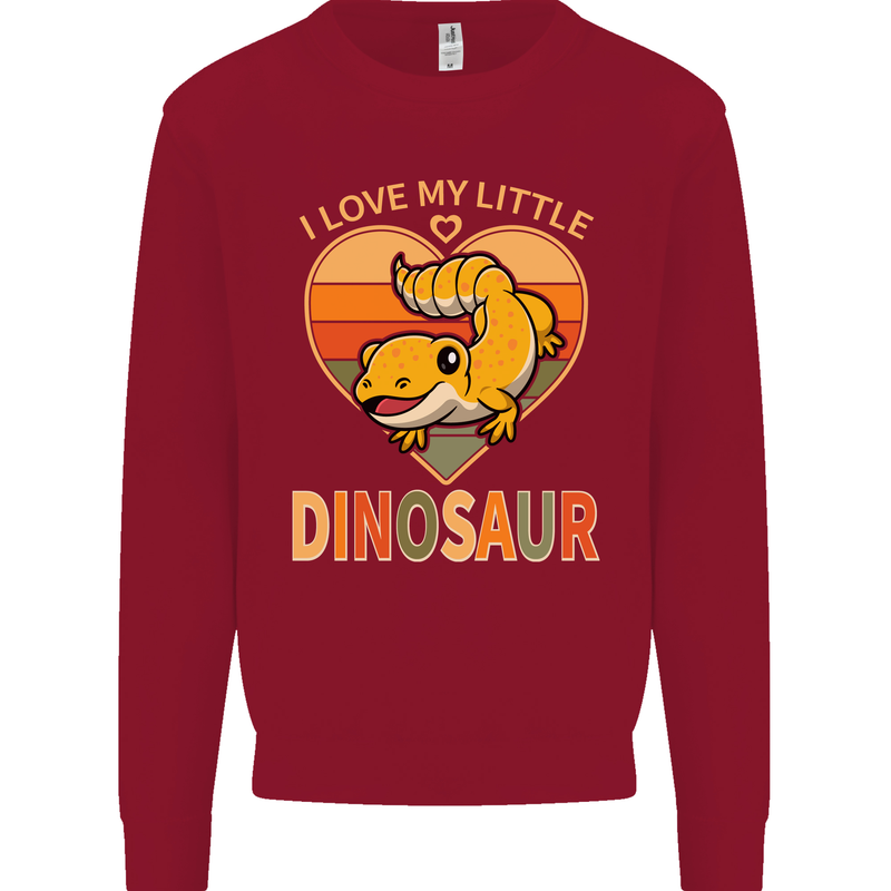 I Love My Little Dragon Bearded Dragon Kids Sweatshirt Jumper Red