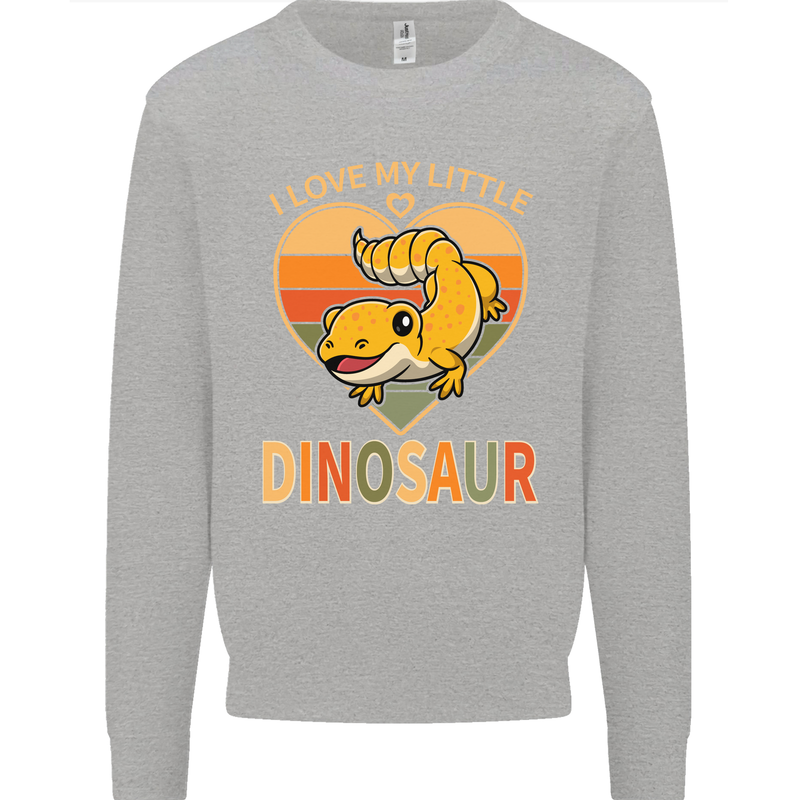 I Love My Little Dragon Bearded Dragon Kids Sweatshirt Jumper Sports Grey