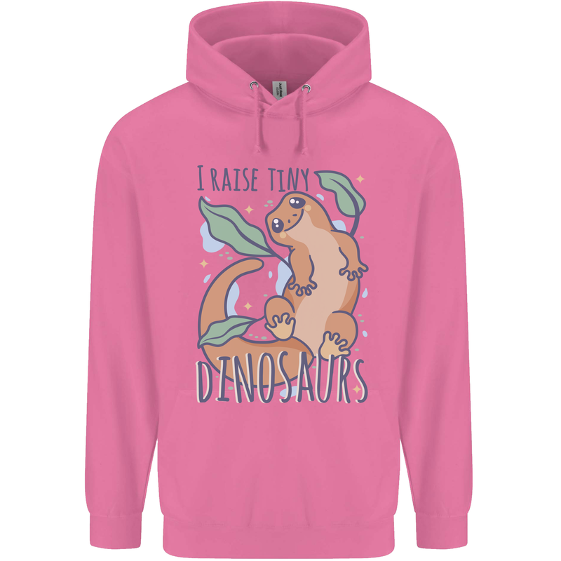 I Raise Tiny Dinosaurs Lizards Chameleon Mens 80% Cotton Hoodie Azelea