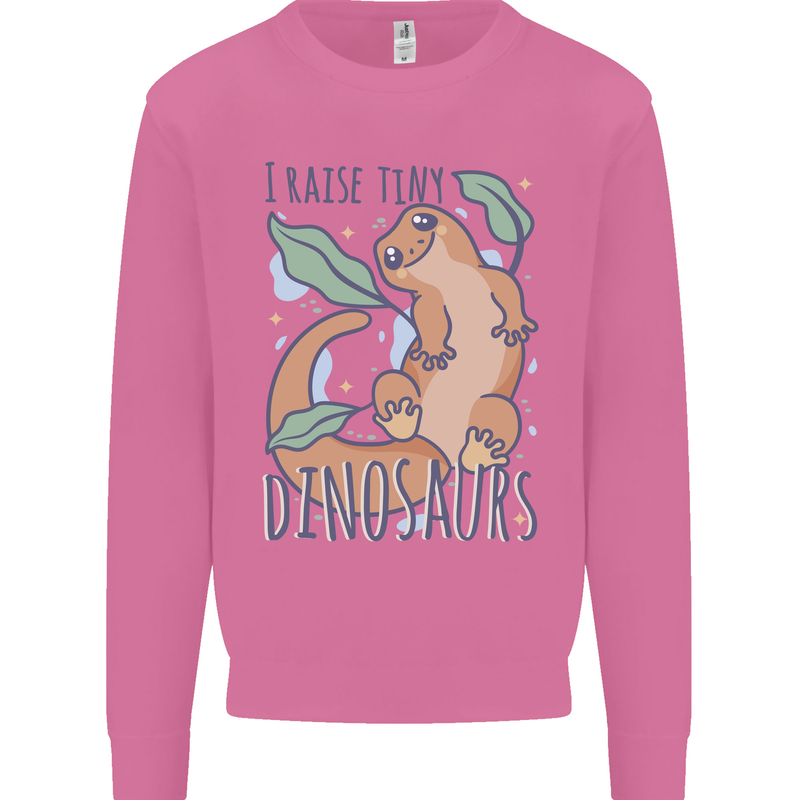 I Raise Tiny Dinosaurs Lizards Chameleon Mens Sweatshirt Jumper Azalea