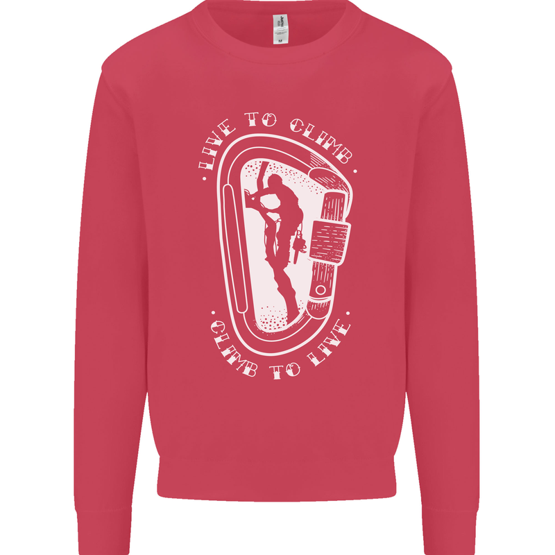 Live to Climb Rock Climbing Climber Kids Sweatshirt Jumper Heliconia