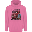 Lorry Driver I Like Big Trucks I Cannot Lie Trucker Childrens Kids Hoodie Azalea