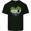Love Sierra Leone Flag Leonian Day Football Mens Cotton T-Shirt Tee Top Black