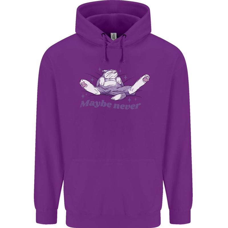 Maybe Never Lazy Cat Sleeping Childrens Kids Hoodie Purple
