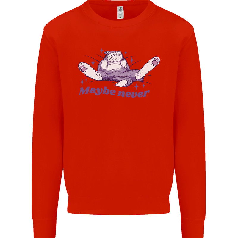 Maybe Never Lazy Cat Sleeping Kids Sweatshirt Jumper Bright Red