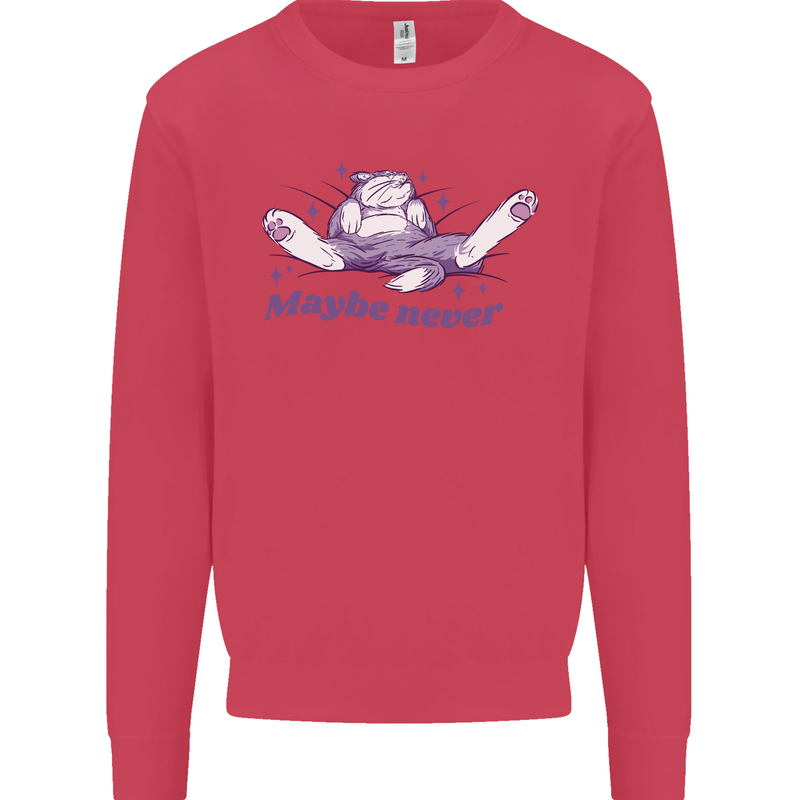 Maybe Never Lazy Cat Sleeping Kids Sweatshirt Jumper Heliconia
