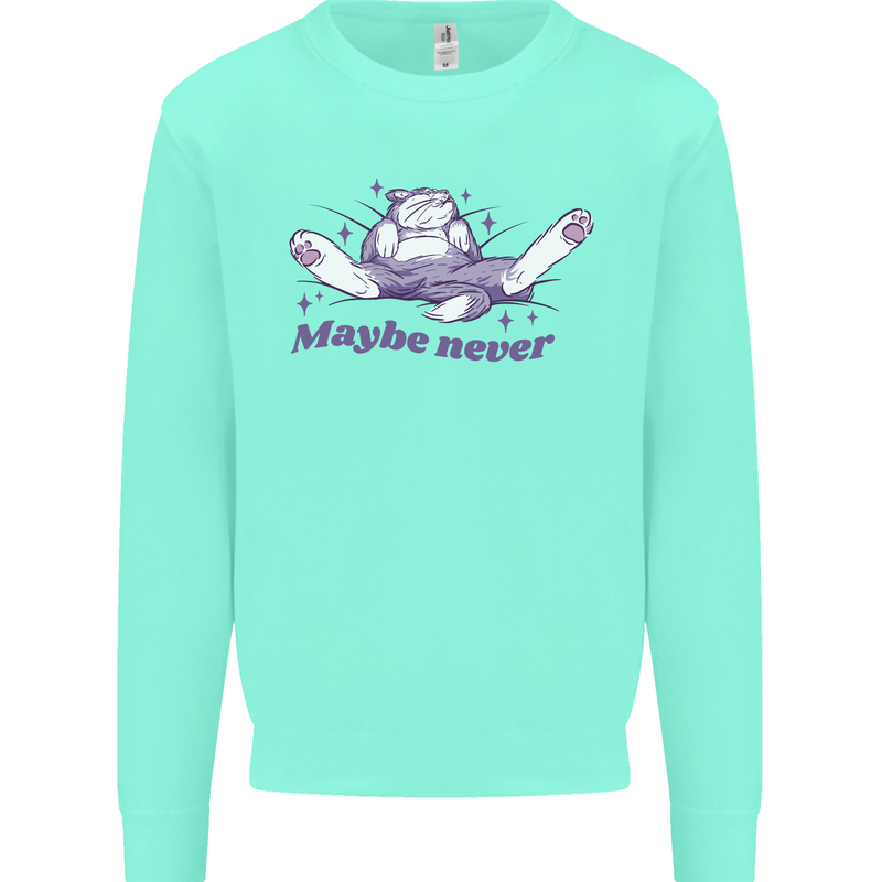 Maybe Never Lazy Cat Sleeping Kids Sweatshirt Jumper Peppermint