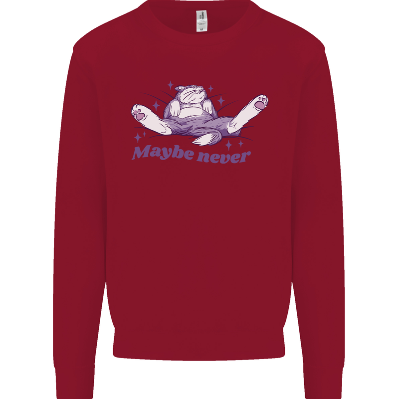 Maybe Never Lazy Cat Sleeping Kids Sweatshirt Jumper Red