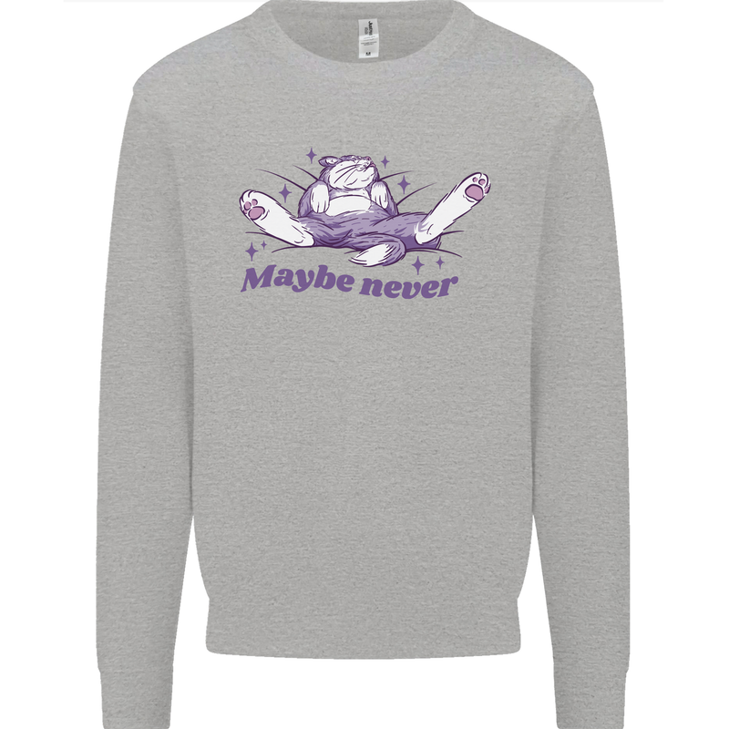 Maybe Never Lazy Cat Sleeping Kids Sweatshirt Jumper Sports Grey