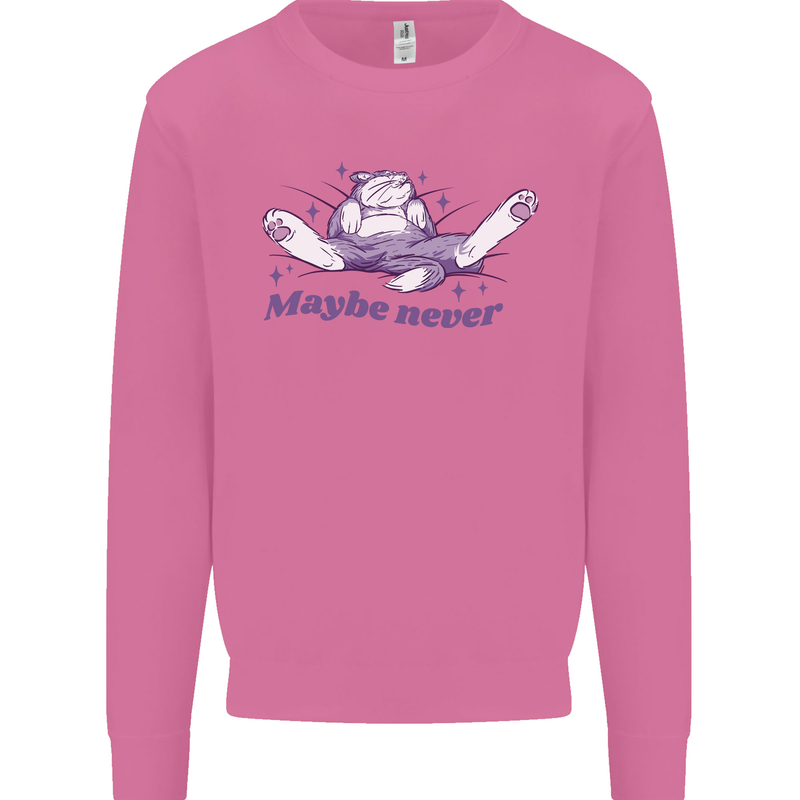 Maybe Never Lazy Cat Sleeping Mens Sweatshirt Jumper Azalea