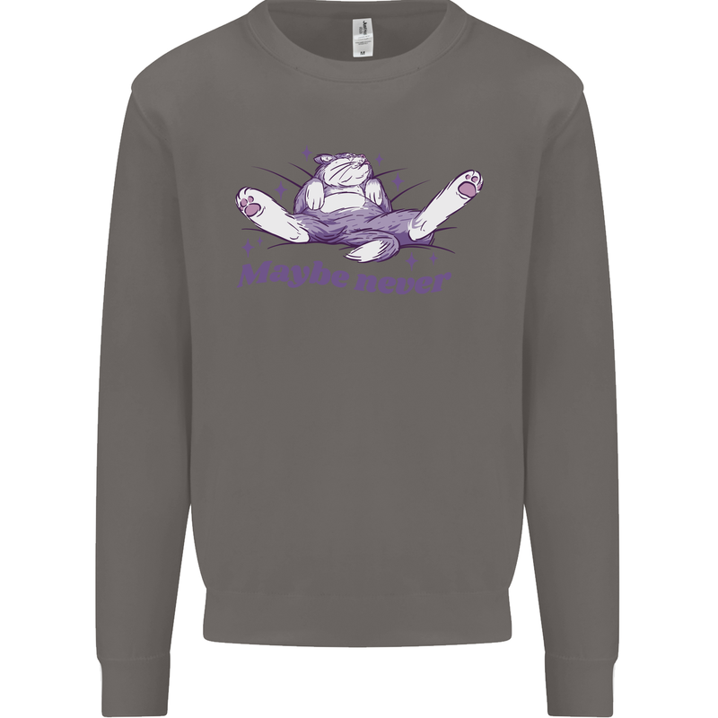Maybe Never Lazy Cat Sleeping Mens Sweatshirt Jumper Charcoal