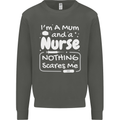 Mum and a Nurse Nothing Scares Me Mothers Day Kids Sweatshirt Jumper Storm Grey