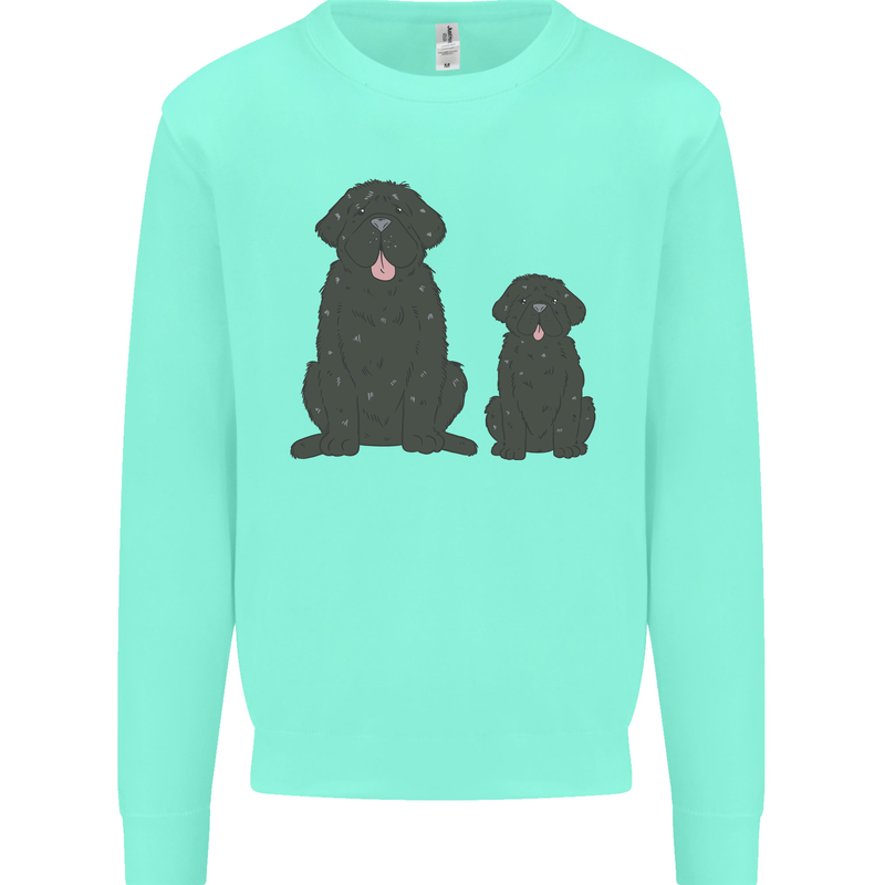 Newfoundland Dog With Puppy Kids Sweatshirt Jumper Peppermint