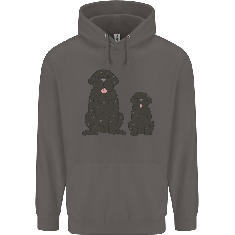 Newfoundland Dog With Puppy Mens 80% Cotton Hoodie Charcoal