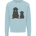 Newfoundland Dog With Puppy Mens Sweatshirt Jumper Light Blue