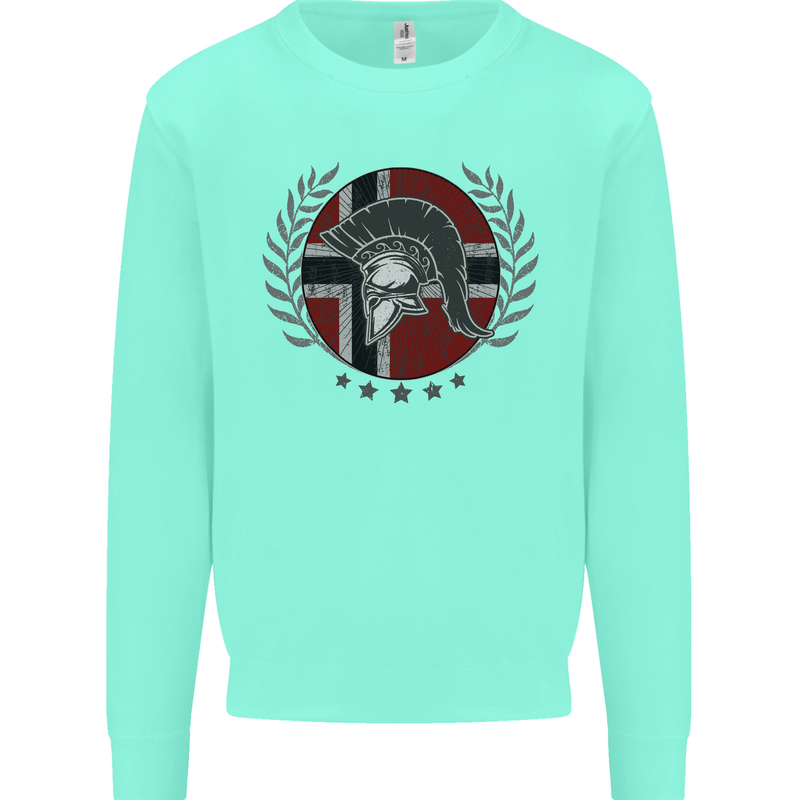 Norway Bodybuilding Flag Gym Training Spartan Mens Sweatshirt Jumper Peppermint