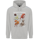 Octopus Species Scuba Diving Ocean Childrens Kids Hoodie Sports Grey