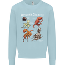 Octopus Species Scuba Diving Ocean Kids Sweatshirt Jumper Light Blue