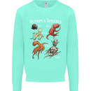 Octopus Species Scuba Diving Ocean Kids Sweatshirt Jumper Peppermint