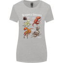 Octopus Species Scuba Diving Ocean Womens Wider Cut T-Shirt Sports Grey