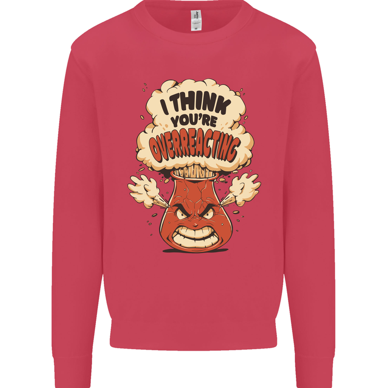 Overreacting Funny Chemistry Geek Nerd Kids Sweatshirt Jumper Heliconia