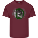 Pakistan Bodybuilding Gym Training Pakistani Mens Cotton T-Shirt Tee Top Maroon