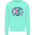 Pink or Blue New Baby Pregnancy Pregnant Mens Sweatshirt Jumper Peppermint