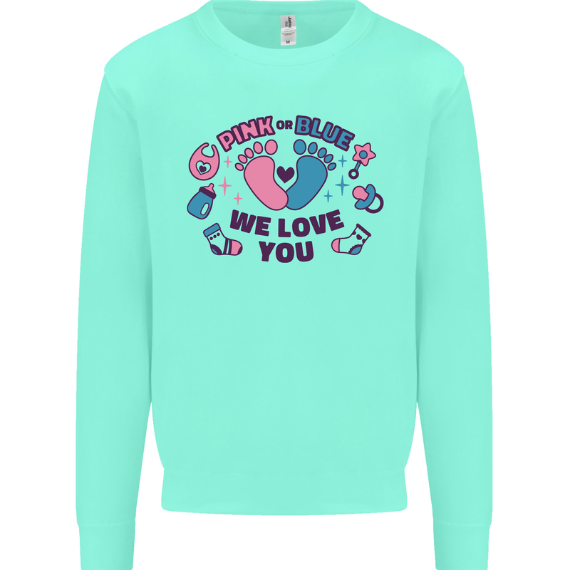 Pink or Blue New Baby Pregnancy Pregnant Mens Sweatshirt Jumper Peppermint