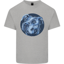 Pitbull Dog Portrait Kids T-Shirt Childrens Sports Grey