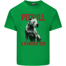Pitbull Warrior Dog Kids T-Shirt Childrens Irish Green