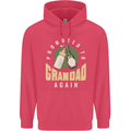 Promoted to Grandad Est. 2024 Childrens Kids Hoodie Heliconia