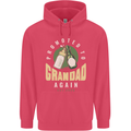 Promoted to Grandad Est. 2026 Childrens Kids Hoodie Heliconia