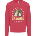 Promoted to Grandad Est. 2026 Kids Sweatshirt Jumper Heliconia