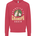 Promoted to Grandpa Est. 2025 Kids Sweatshirt Jumper Heliconia