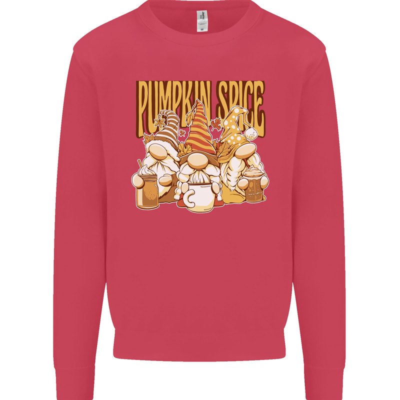 Pumpkin Spice Gnomes Halloween Kids Sweatshirt Jumper Heliconia