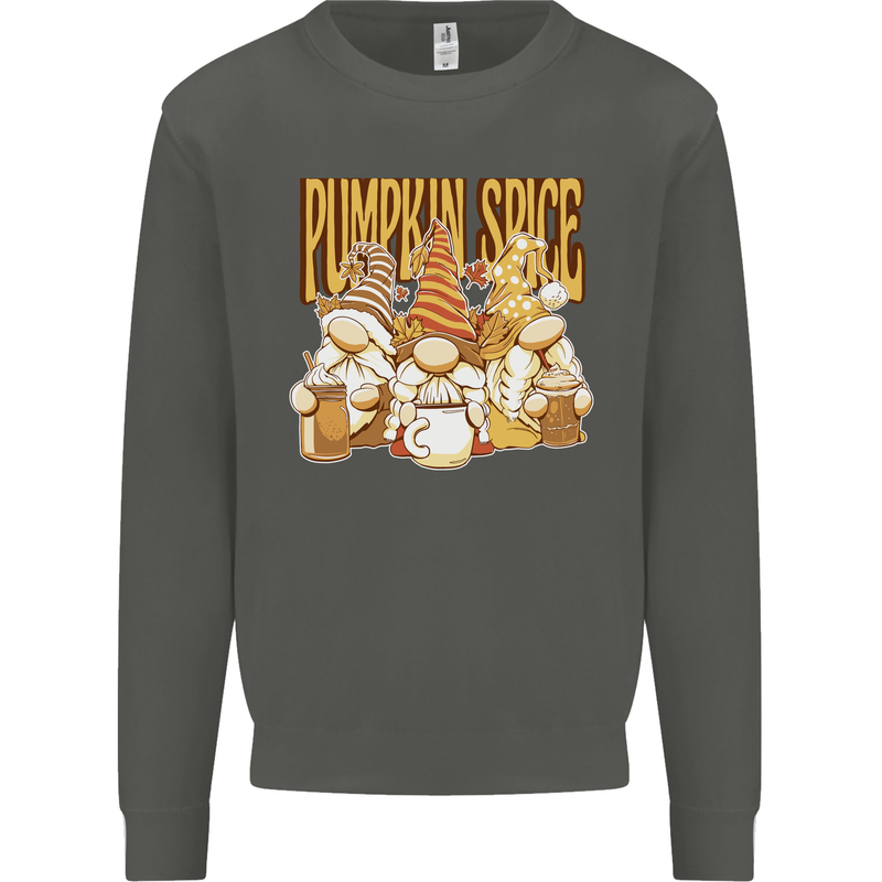 Pumpkin Spice Gnomes Halloween Kids Sweatshirt Jumper Storm Grey