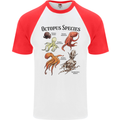 Octopus Species Sealife Scuba Diving Mens S/S Baseball T-Shirt White/Red
