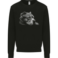 Resting Pitbull Dog Mens Sweatshirt Jumper Black