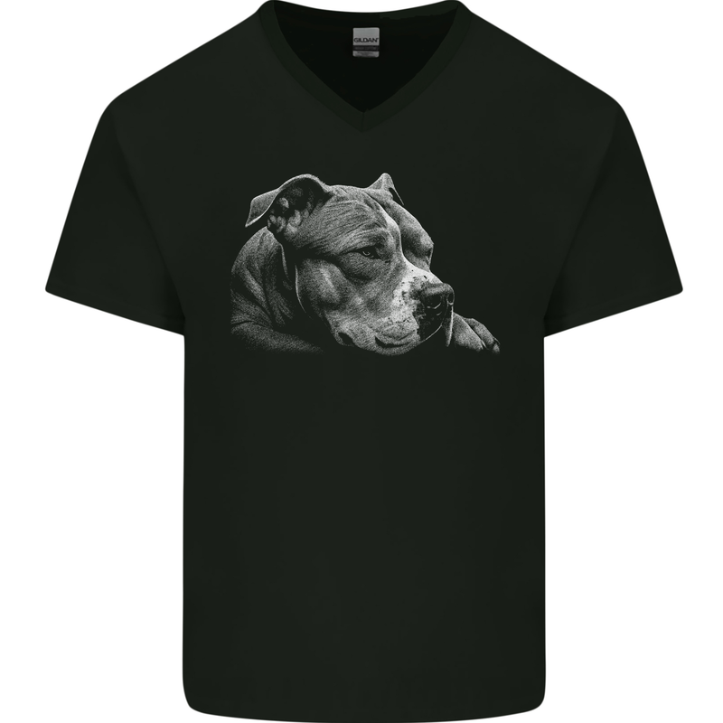 Resting Pitbull Dog Mens V-Neck Cotton T-Shirt Black