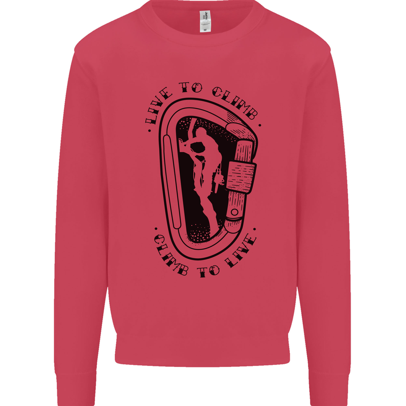 Rock Climbing Live to Climb  Climber Kids Sweatshirt Jumper Heliconia