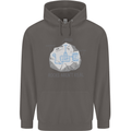 Rocks Aren't Real Funny Conspiracy Theory Mens 80% Cotton Hoodie Charcoal