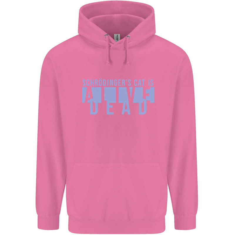 Schrodingers Cat Dead Alive Childrens Kids Hoodie Azalea