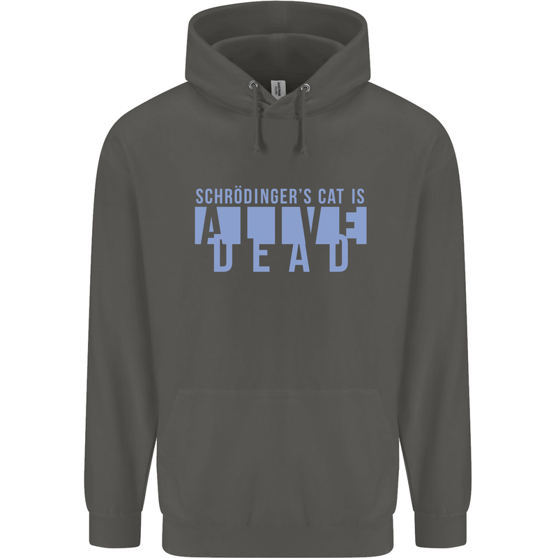 Schrodingers Cat Dead Alive Childrens Kids Hoodie Storm Grey
