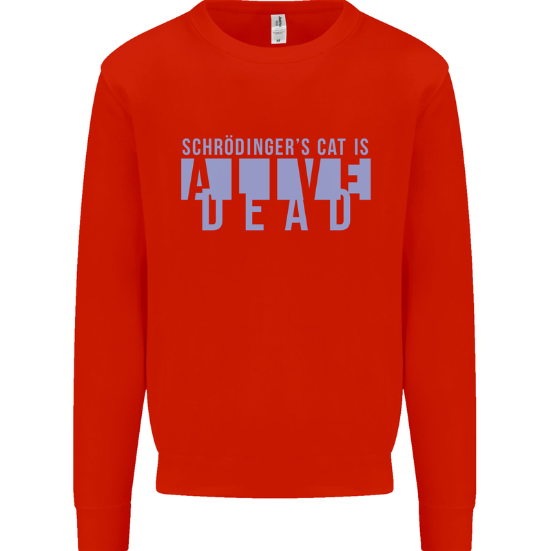 Schrodingers Cat Dead Alive Kids Sweatshirt Jumper Bright Red