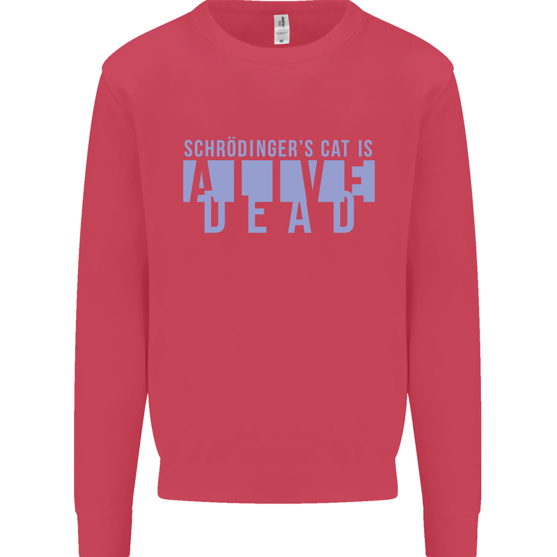 Schrodingers Cat Dead Alive Kids Sweatshirt Jumper Heliconia